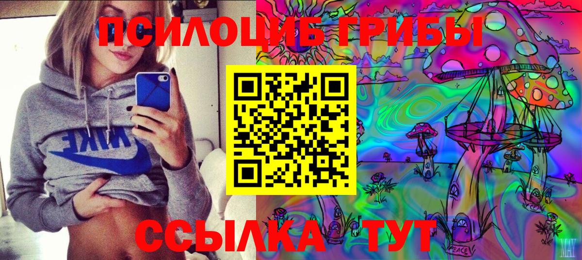 Ржев  Галлюциногенные грибы ЛСД  Вход с VPN 